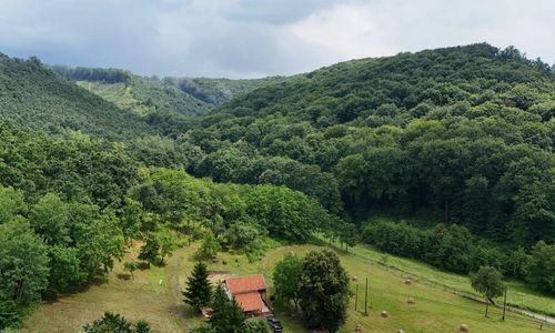 Tilia Pagony Vendégház Borsodnádasd