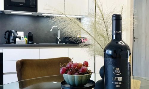 Lator Apartmanház Villány