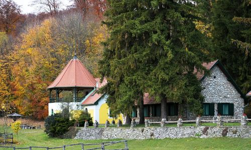 Csipkéskúti Lovas Vendégház Miskolc