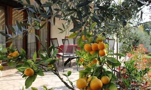 Apartman Paganor Pula