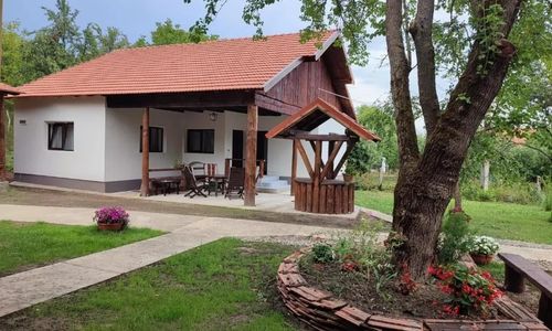 Pensiunea Dumbrava Minunată Peșteana