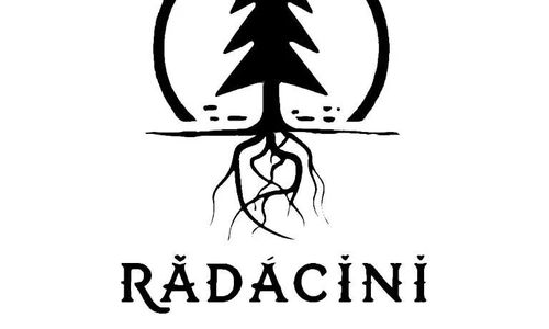 Hotel Rădăcini Câmpulung Moldovenesc