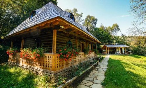 Casa lu' Ion Vișeu de Sus