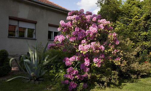 Rooms Branka Križevci