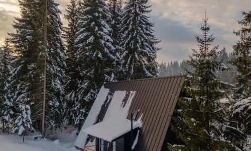 Black Raven Cabin Toplița