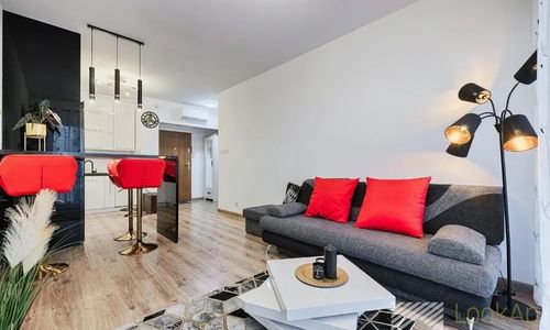 Apartment Industrial Red by LookAp Łódź - parking, klimatyzacja