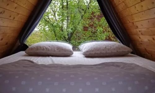 Camping Zen Garden Oradea