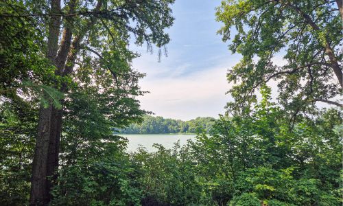 Vendégház Matyldów - PPS120