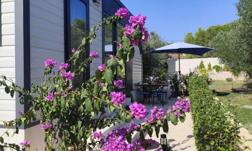 Mobile House Alba Bibinje