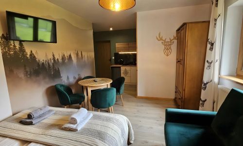 Willa Zielone Wzgórze Zakopane