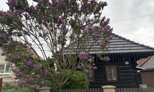 Drevenica Raj Bystrička