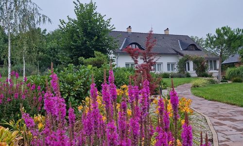 Rubato Vendégház Dudar