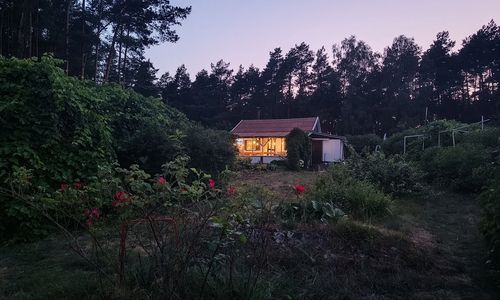 SUPy, Krokodyl & Las Trzebiechowo