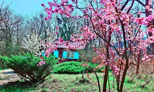 Meredély Kunyhószállás Leányfalu