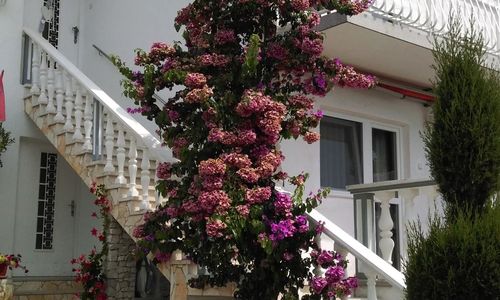 Apartman Mona Brodarica