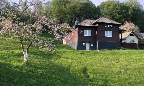 Cabana Hatere Moisei