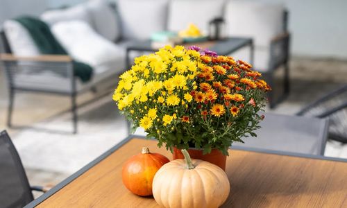 Frizzante Vendégház Badacsonytomaj