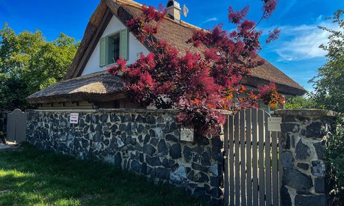 Zanzara Guesthouse Pákozd