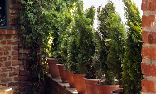 Apartament Luconi's Otopeni