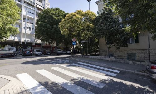 Apartman Nettle Tree Split