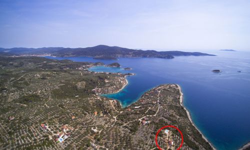 House villa Korcula Vela Luka