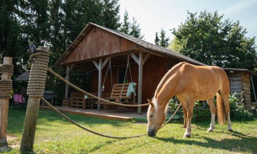 Domek na Ranczo Gniezno