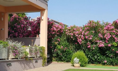 Apartmanok Parkolóhellyel Tribunj, Vodice - 23680 Tribunj