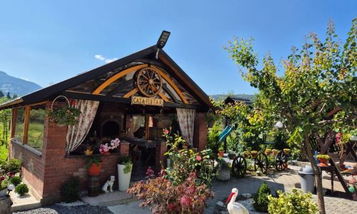 Casa Mary Flutar Moisei