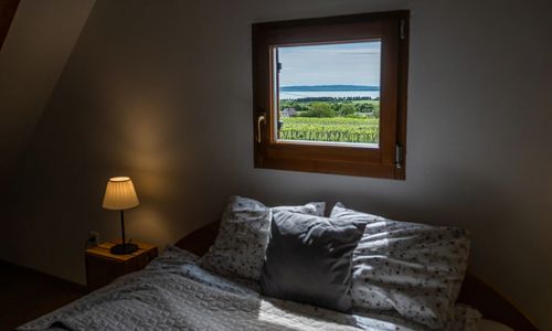 Tagyon Birtok Kései Szüret Apartmanház Tagyonhegy