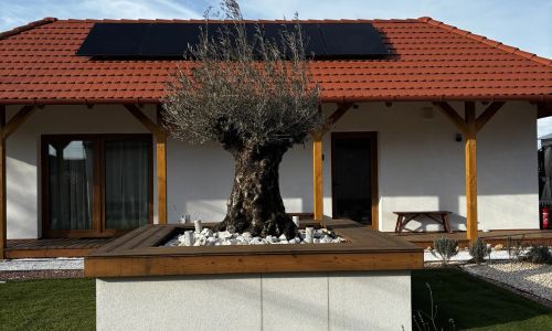 Casa Oliva Tokaj