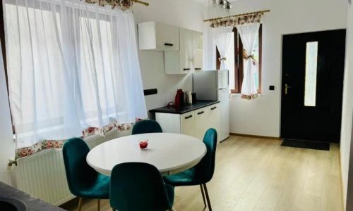 Maria Studio And Apartment Sighișoara