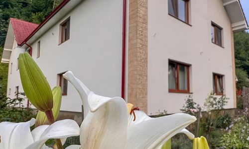 Golden Forest Retreat Iod