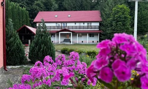 Vacation Villa Sucevița