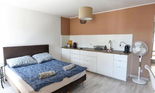 Perfect Stay - Apartament Horzyca 11 Toruń