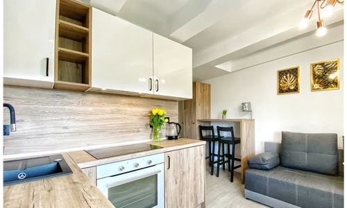 BP Apartment Złoty Zielony Granatowy Toruń