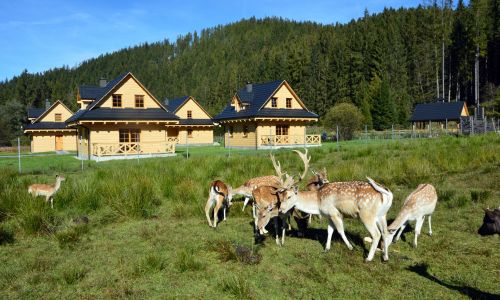 Domki Wypoczynkowe Romanówka Żywiec