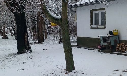 Majs-lakó Kiskunmajsa