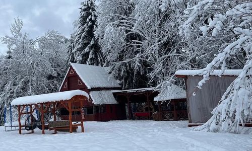 Cabana Paltini Poiana Vadului