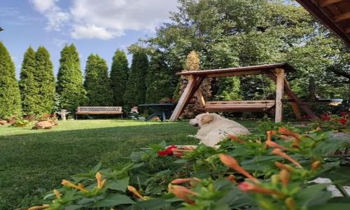 Casa Rustik Bâltişoara