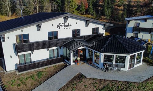 Pensiunea Barka Borsec