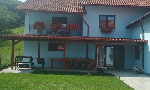 Casa Ardelean Sita Buzăului