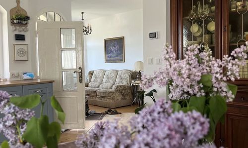 Casa Mystic Twistic Vidra