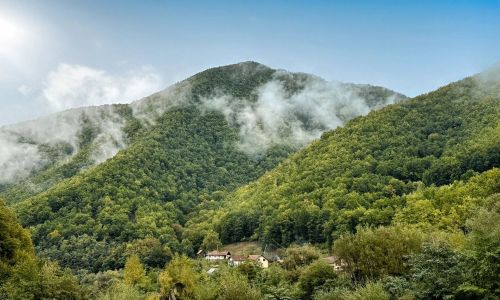 Eden Natural Resort Căpâlna