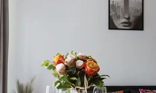 Apartamenty Straconki Bielsko-Biała