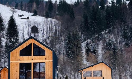 Cabana The Black Barn Dragoșa