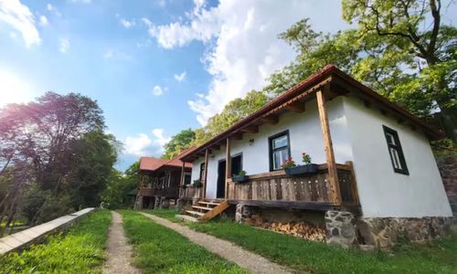 Arboretum Guesthouse - traditional Szekler house Șoimeni