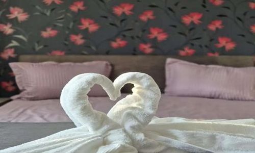 Sofia Apartament Piatra Neamț