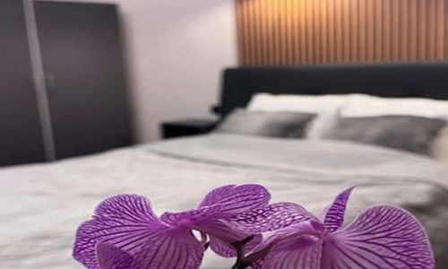 Apartament Comfort & Style Victoriei București