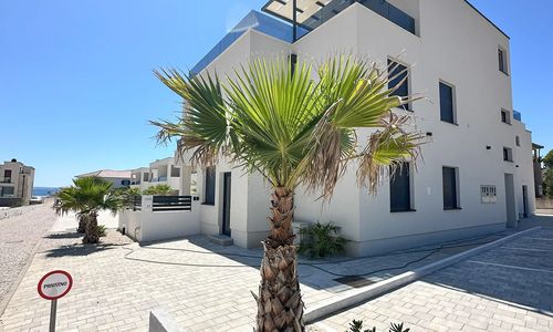 Apartments B Palm Tree Vir