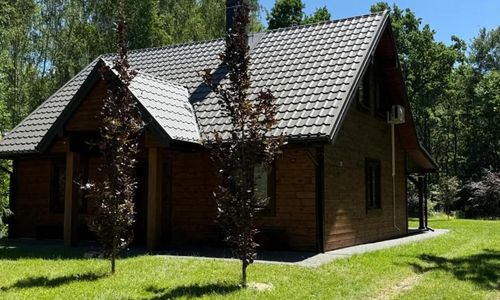 Z duszą i parą, dom z ogrodem i sauną na wyłączność, obok Poleskiego Parku Narodowego